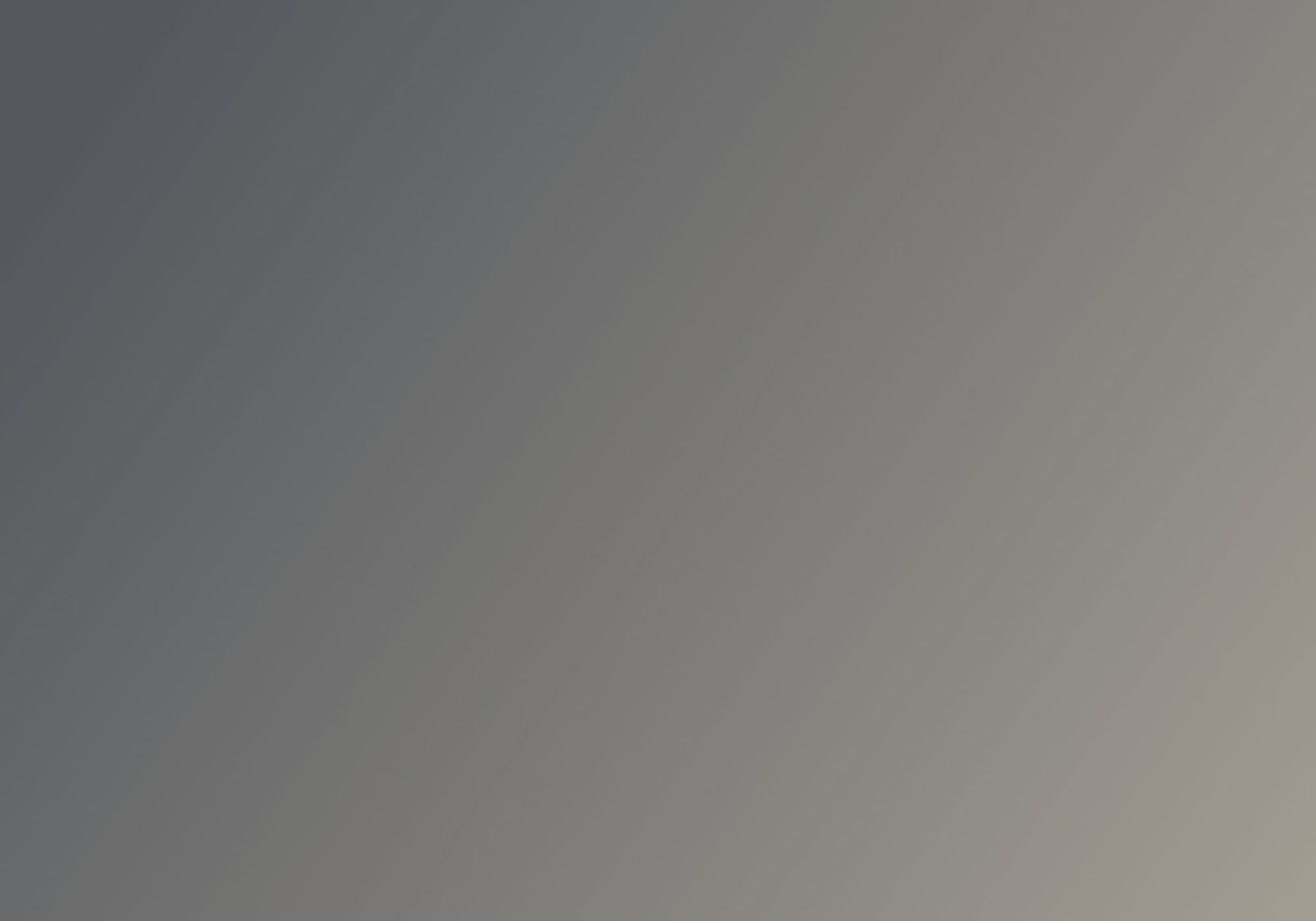 The Adventurous Sage